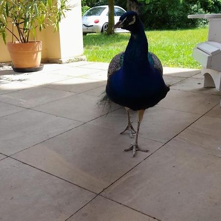 Schloss Tressow Bobitz Exterior photo